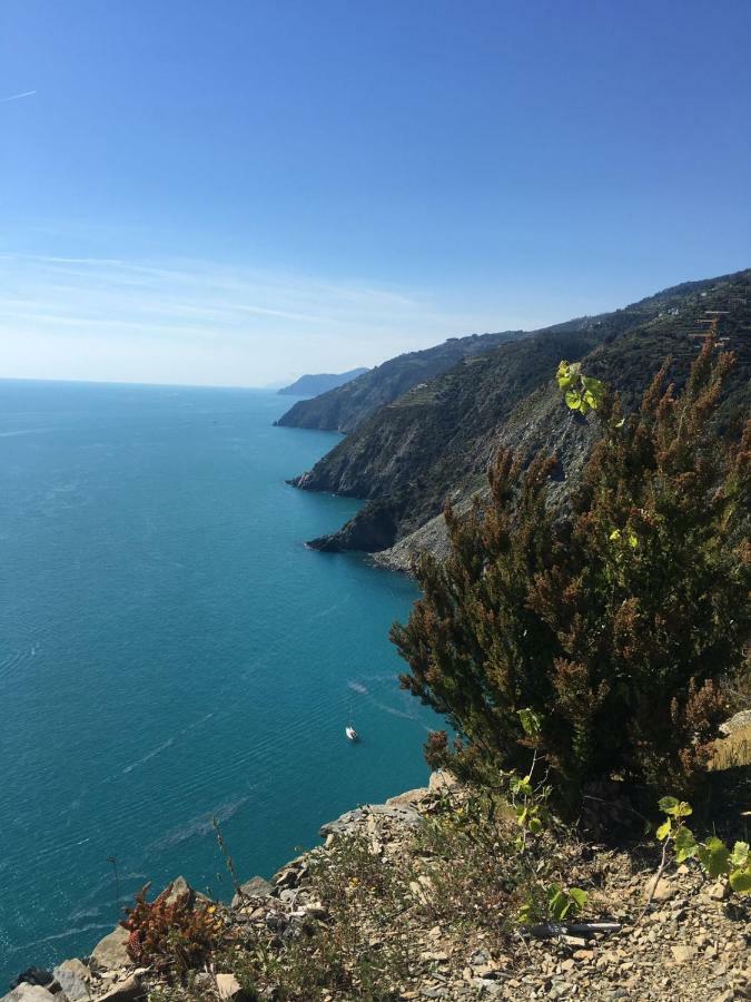 Agave Di Lerici Villa Exterior foto