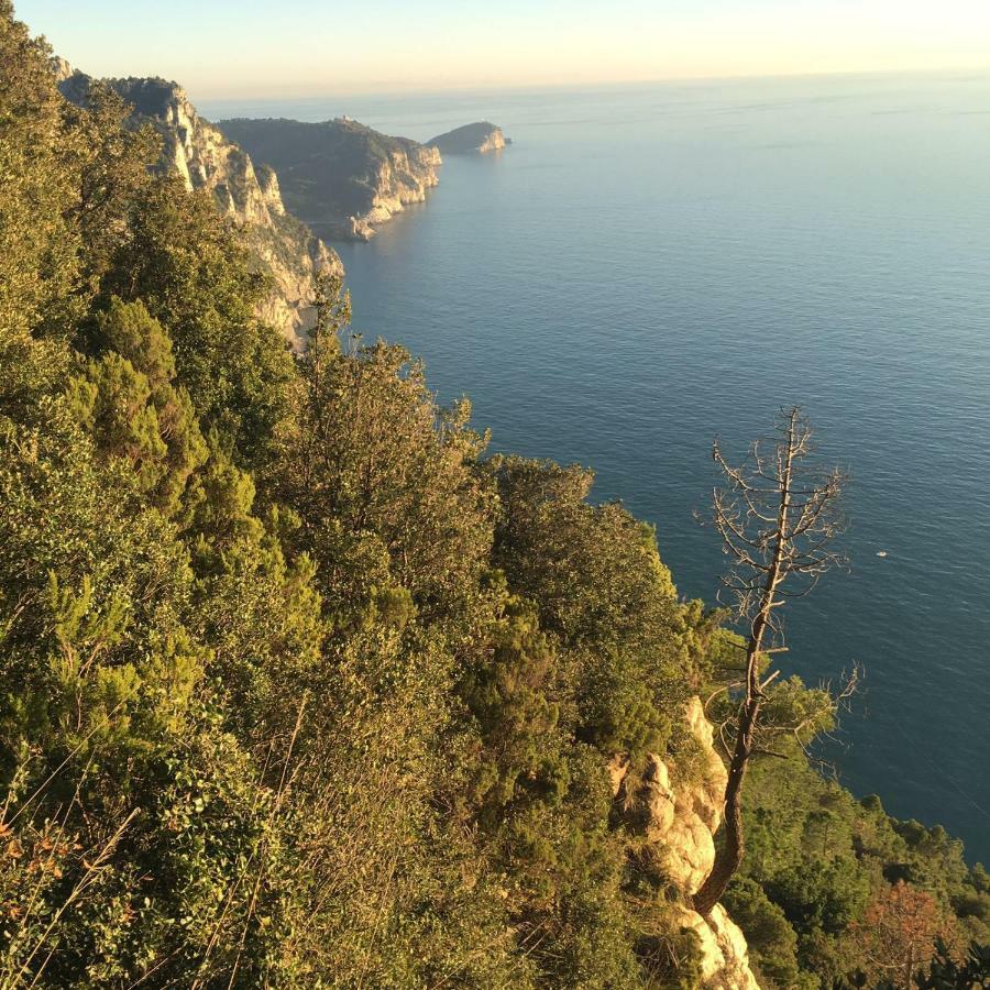 Agave Di Lerici Villa Exterior foto